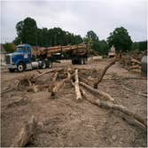 Photos from Cb Morgan Equipment and Services LLC