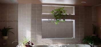 Photos from Solis Builders Of Louisiana Llc