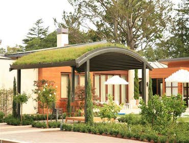 Contemporary Green