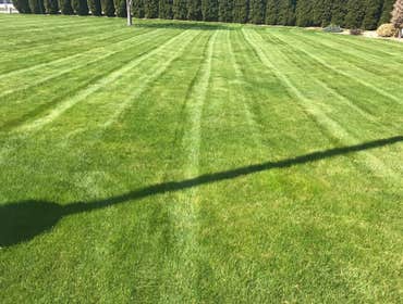Photos by Morfins Tree Trim & Landscape #1