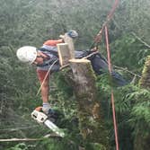 Photos from Gaea Tree Service & Roofing Some jobs we did, removals , view clearance and trees ove houses