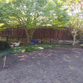 Photos by Pablo Landscaping #1