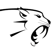 Wildcat Electric 