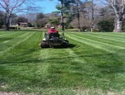 Photos by Don Cele Landscaping #1