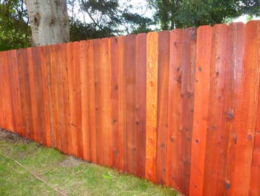 Cedar fence Rodda Oil stain