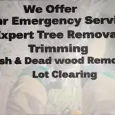 Photos by Cox Tree Service #2