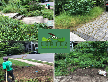 Photos by Cortez Lawn & Landscaping Inc #4