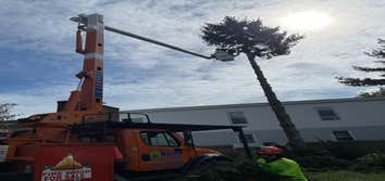 Stewart Tree Service