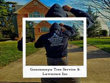 Photos by Guacamaya Tree Service & Lawncare Inc #1