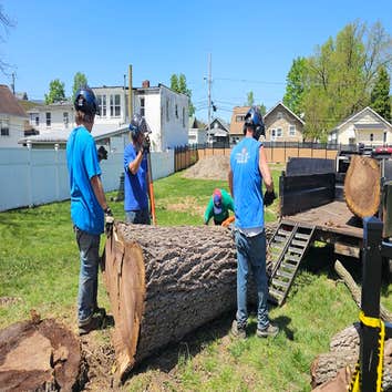 Patriot Tree Experts