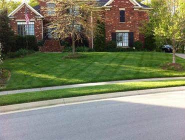 Photos from Mfp Landscaping Inc