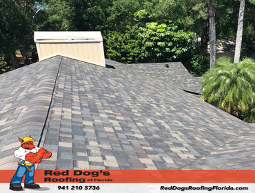 Photos by Red dog's Roofing of Florida #1