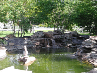 Landscape Projects