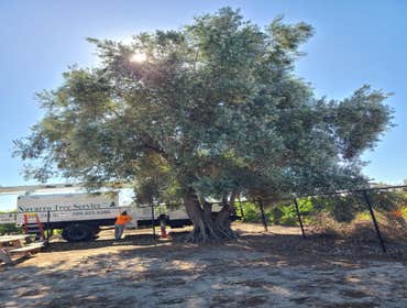 Photos by Navarro Tree Service Inc #9