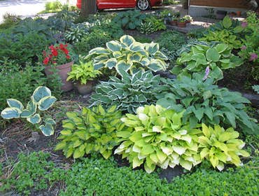 Photos by Elegant Landscaping #1
