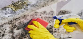 Photos by Little London Mold Inspections #1
