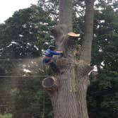 Photos from Kingkiner Tree Service LLC