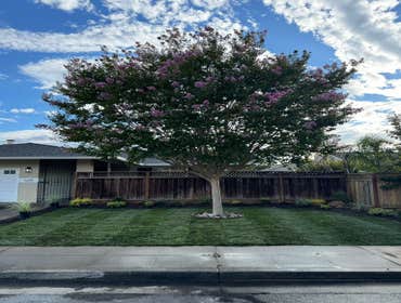 Innovative Gardens, Inc. works