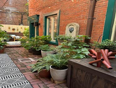 Photos by Rowhouse Growhouse #1