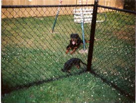 Photos from Woodard's Fence Installation