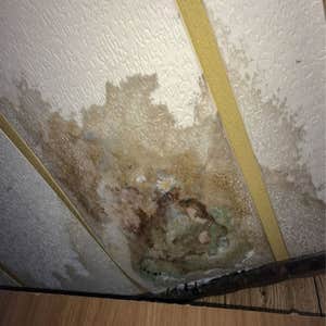 Photos by Water Damage Experts of Westfield #1