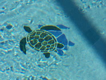 Photos from Destiny Pools And Spas