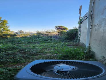 Photos by Pro M Tree Service #36