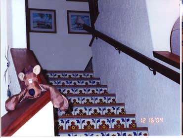Interior & Exterior Project photos from Apex Painting and Staining Whether you are looking to protect the exterior of your home from the Florida sun an