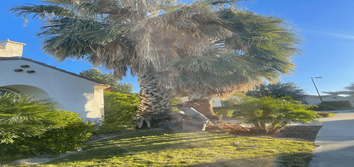 Photos by H&R Tree Services LLC #1