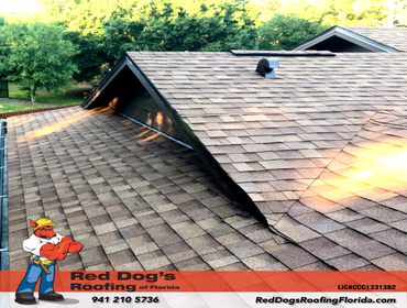 Photos by Red dog's Roofing of Florida #1