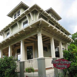 Photos from David Springer Painting