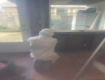 Mold removal with all due precautions