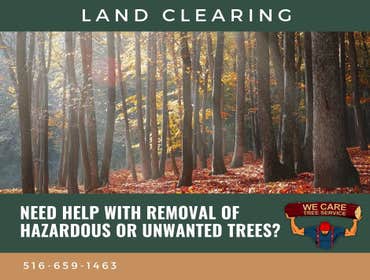 We Care Tree Services Looking for complete tree service. From tree removal to land clearing – We Care Tree Service can handle all of your tree service 