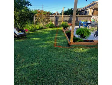 New Sprinkler System! Did a little digging for a brand new sprinkler system! No job too big or small for No Mow Worries!