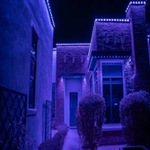 Big Pig Smart Lighting