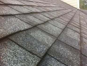 Photos by Kitsap Moss Removal, Llc #1