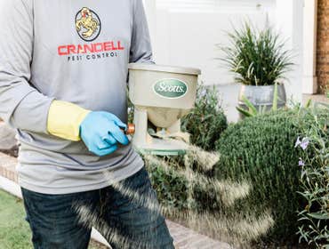 Photos by Crandell Pest Control #1