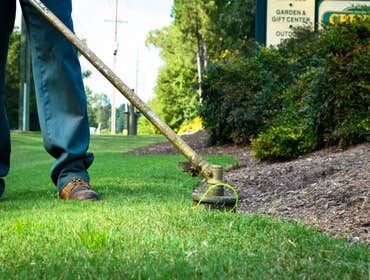 Photos by McAllen Landscaping Pros #1 Landscaping Services Work Projects in McAllen TX