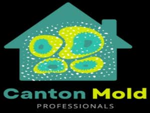 Photos by Mold Removal Canton Experts #1