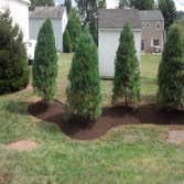 tree planting