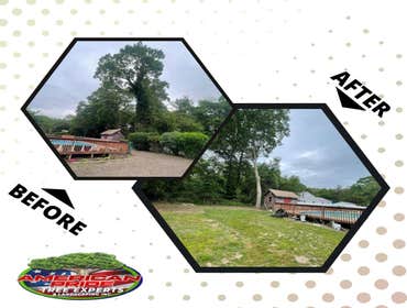 Photos by American Pride Tree Experts & Landscaping Inc #59