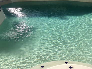 Pools and Project Photos