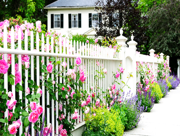Fences