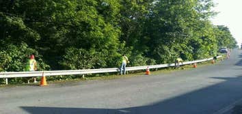 Weed Removal Mill Road