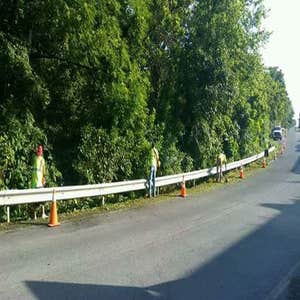 Weed Removal Mill Road