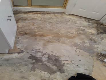 Photos by King'z Restoration & Remodeling #1