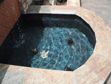 Custom Design and Build water feature specialist. Pond~ology is a full service water feature design and build firm located in North county San Diego. 