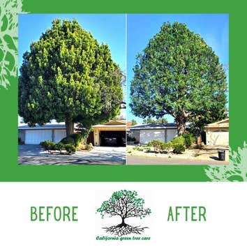California Green Tree Care