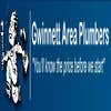 Gwinnett Area Plumbers logo