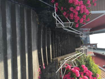 Photos from Diamond Quality Pressure Wshng Pressure wash walkways, and steps